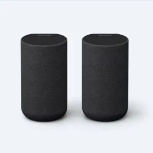 Sony SA-RS5 Speaker Review