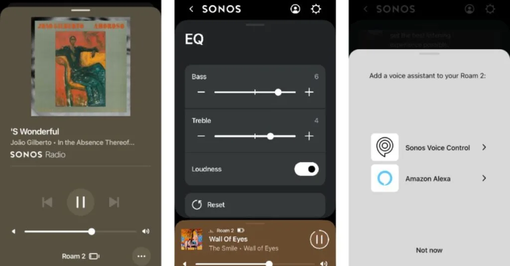 Sonos Roam 2 Conectivity